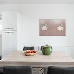 Oaza Mira Kakma